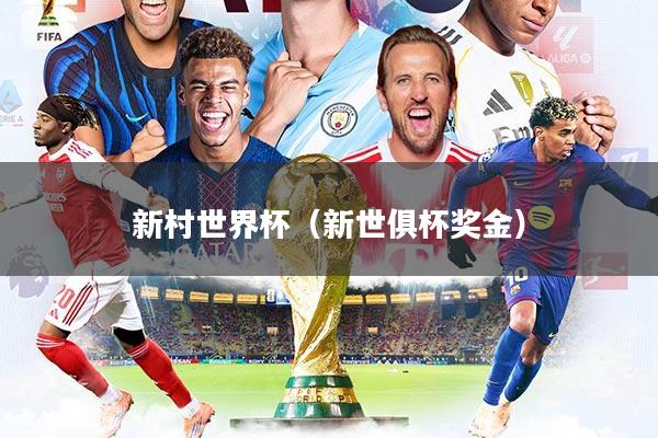 新村世界杯（新世俱杯奖金）