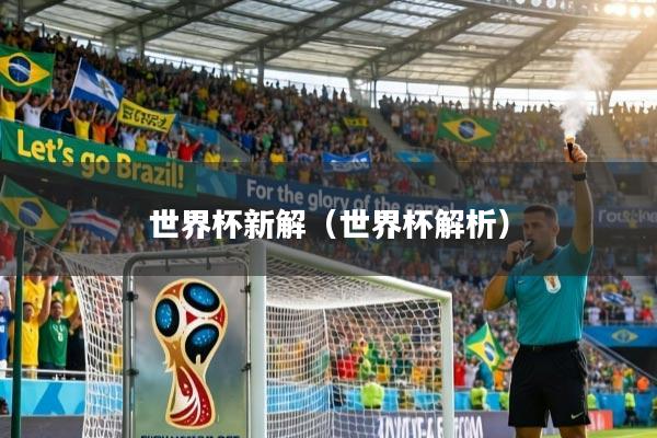 世界杯新解（世界杯解析）